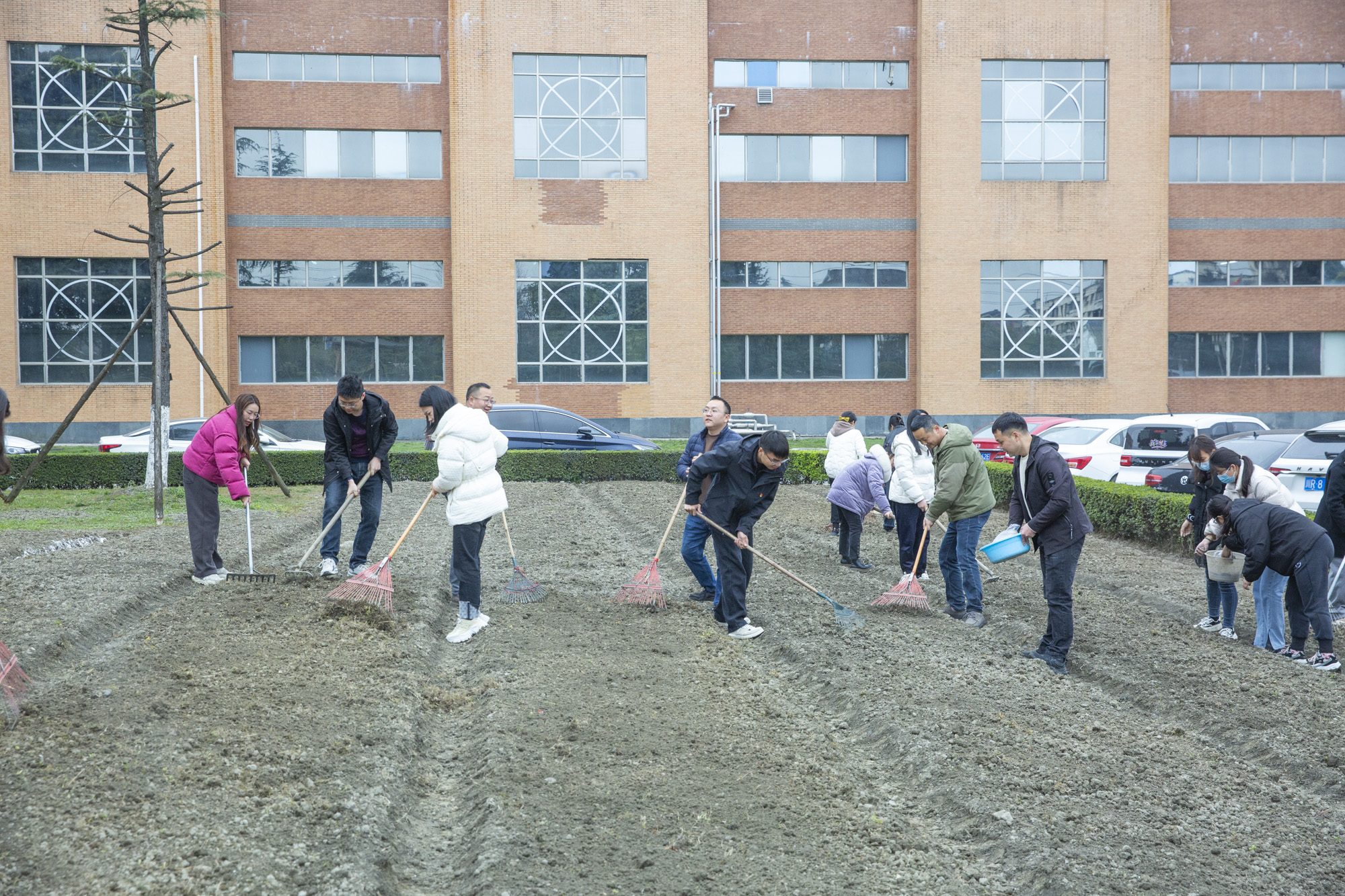 植树节 | 开云手机web版登录入口开展“植此青绿，拥抱春天”植树节活动